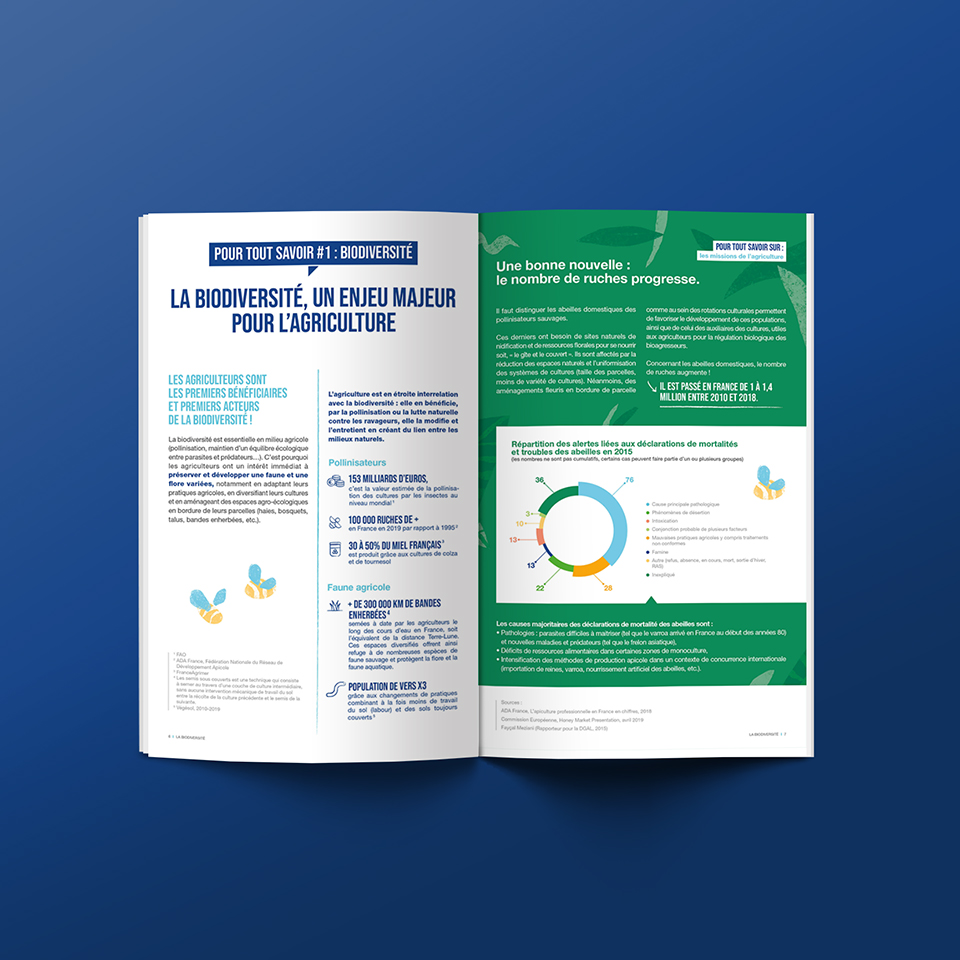 SYNGENTA_BROCHURE_DETAILS_04A